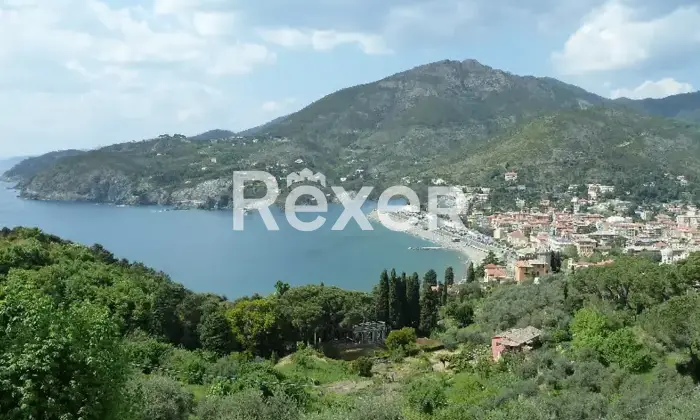 Rexer-Lavaggiorosso-Casale-in-Vendita-a-Lavaggiorosso-Levanto-Altro