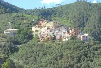 Rexer-Lavaggiorosso-Casale-in-Vendita-a-Lavaggiorosso-Levanto-Altro