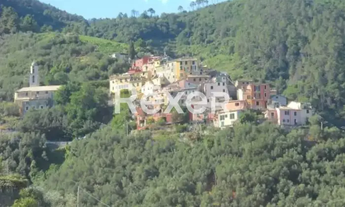 Rexer-Lavaggiorosso-Casale-in-Vendita-a-Lavaggiorosso-Levanto-Altro