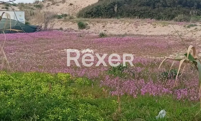 Rexer-Torchiarolo-A-LIDO-PRESEPE-localit-marina-del-Comune-di-Torchiarolo-BR-casa-piano-terra-a-mt-dal-mare-Altro