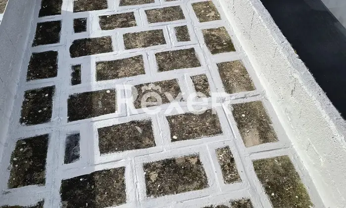 Rexer-Torchiarolo-A-LIDO-PRESEPE-localit-marina-del-Comune-di-Torchiarolo-BR-casa-piano-terra-a-mt-dal-mare-Altro