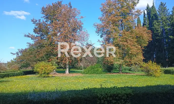 Rexer-Monteriggioni-Villa-storica-di-pregio-con-piscina-Altro