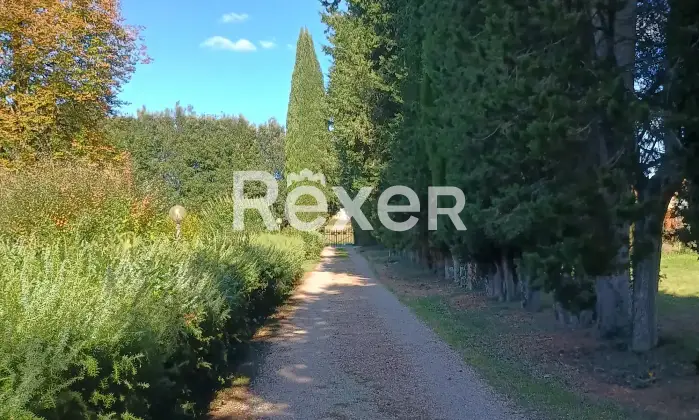Rexer-Monteriggioni-Villa-storica-di-pregio-con-piscina-Altro