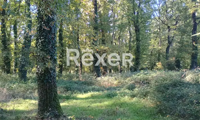 Rexer-Monteriggioni-Villa-storica-di-pregio-con-piscina-Altro