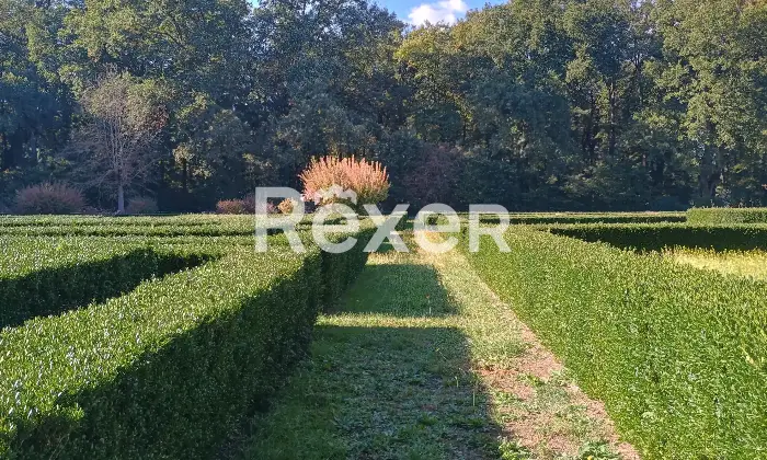 Rexer-Monteriggioni-Villa-storica-di-pregio-con-piscina-Altro