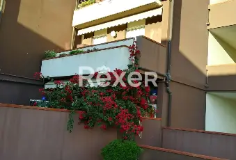 Rexer-Ceriale-Appartamento-con-terrazzo-panoramico-vista-Isola-Gallinara-Altro