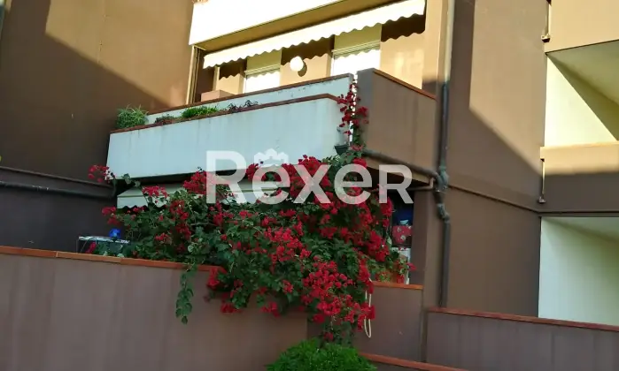 Rexer-Ceriale-Appartamento-con-terrazzo-panoramico-vista-Isola-Gallinara-Altro