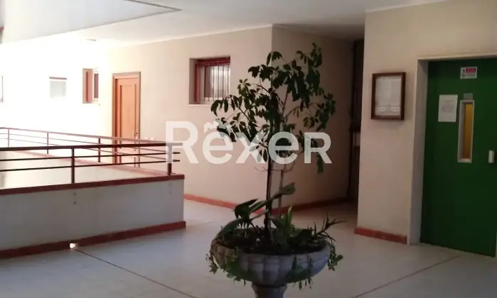 Rexer-Ceriale-Appartamento-con-terrazzo-panoramico-vista-Isola-Gallinara-Altro