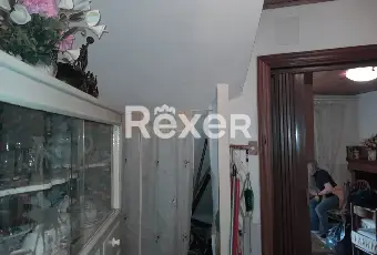 Rexer-Francavilla-In-Sinni-Palazzina-terracielo-ristrutturata-con-mansarda-terrazzo-e-arredamento-completo-a-Francavilla-in-Sinni-Altro