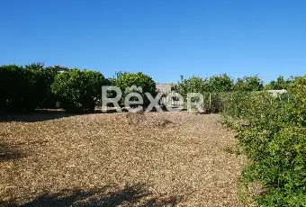 Rexer-Nurachi-Terreno-in-vendita-in-Via-Domenico-Alberto-Azuni-Nurachi-Altro