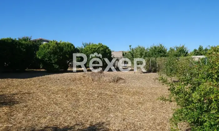 Rexer-Nurachi-Terreno-in-vendita-in-Via-Domenico-Alberto-Azuni-Nurachi-Altro