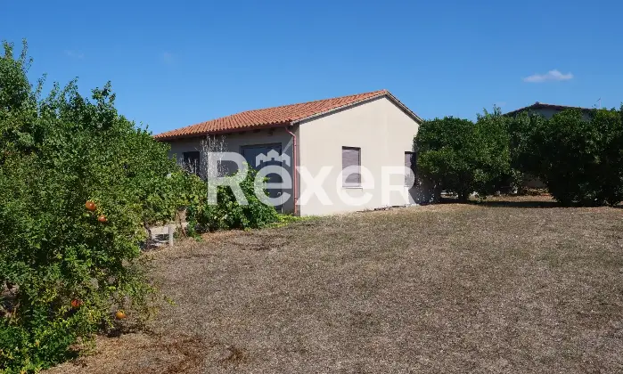 Rexer-Nurachi-Terreno-in-vendita-in-Via-Domenico-Alberto-Azuni-Nurachi-Altro