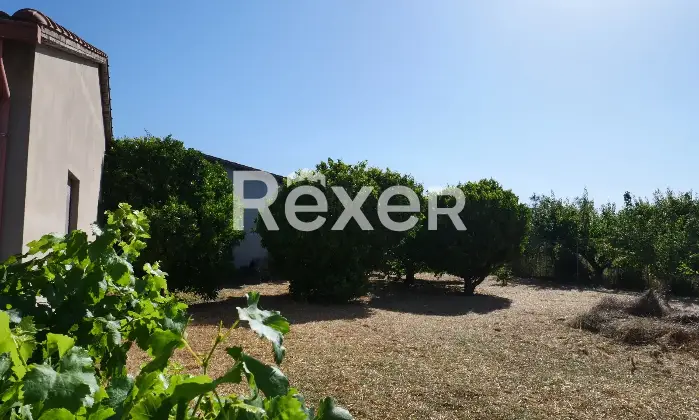 Rexer-Nurachi-Terreno-in-vendita-in-Via-Domenico-Alberto-Azuni-Nurachi-Altro