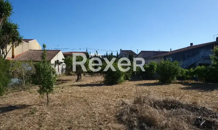 Rexer-Nurachi-Terreno-in-vendita-in-Via-Domenico-Alberto-Azuni-Nurachi-Altro