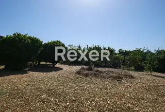 Rexer-Nurachi-Terreno-in-vendita-in-Via-Domenico-Alberto-Azuni-Nurachi-Altro