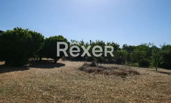 Rexer-Nurachi-Terreno-in-vendita-in-Via-Domenico-Alberto-Azuni-Nurachi-Altro