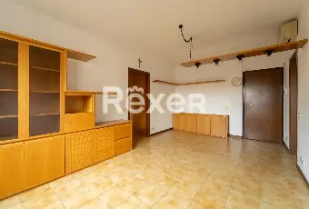 Rexer-Arcore-Arcore-Appartamento-mq-con-cantina-e-box-auto-Altro