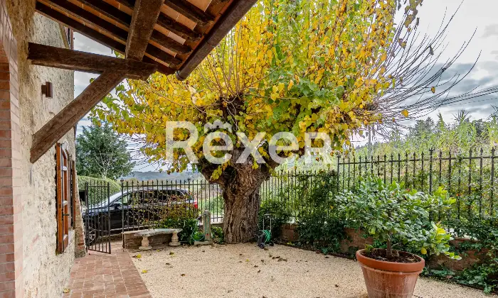 Rexer-San-Gimignano-Casale-ristrutturato-con-due-unit-abitative-fienile-e-parco-San-Gimignano-Altro