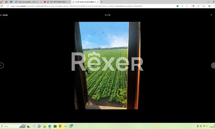 Rexer-Fiumicino-Tra-Pineta-e-Mare-aria-di-benessere-Giardino