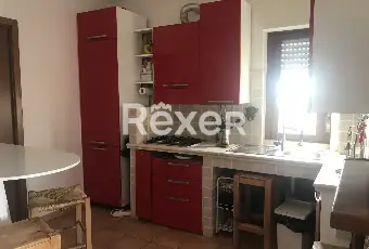 Rexer-Fiumicino-Tra-Pineta-e-Mare-aria-di-benessere-Altro