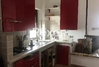 Rexer-Fiumicino-Tra-Pineta-e-Mare-aria-di-benessere-Altro