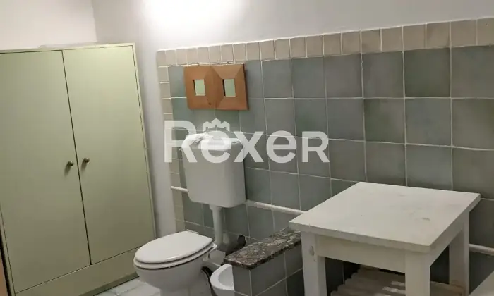 Rexer-Fiumicino-Tra-Pineta-e-Mare-aria-di-benessere-Altro