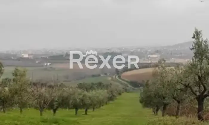 Rexer-Colonnella-Villa-in-Vendita-in-Contrada-Rio-Moro-a-Colonnella-Altro