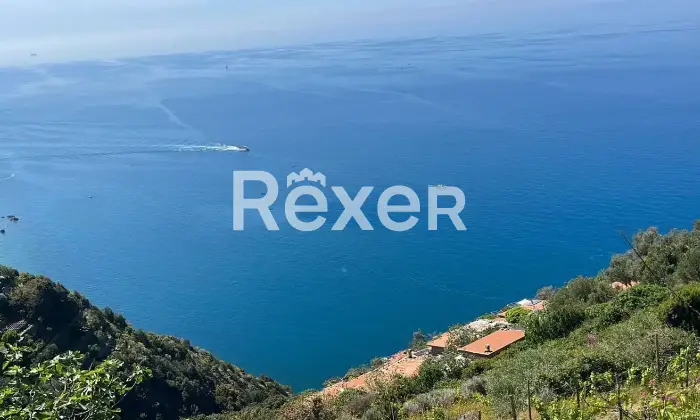 Rexer-Campiglia-Rustico-in-Localit-Schiara-di-Campiglia-TramontiLa-Spezia-Altro