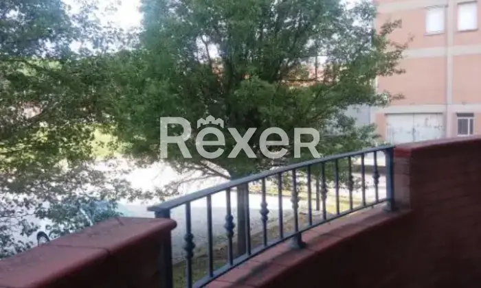 Rexer-Novellara-Appartamento-in-vendita-a-Novellara-Via-Provinciale-Nord-Altro