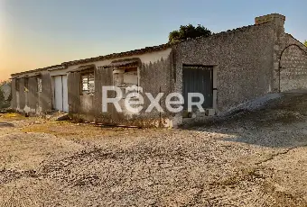 Rexer-Modica-Oasi-Siciliana-antica-dimora-con-uliveti-e-carrubbe-Terrazzo