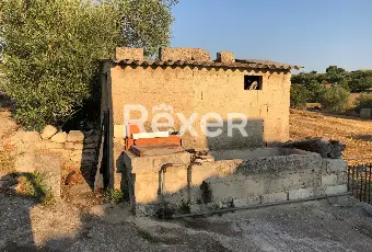 Rexer-Modica-Oasi-Siciliana-antica-dimora-con-uliveti-e-carrubbe-Terrazzo
