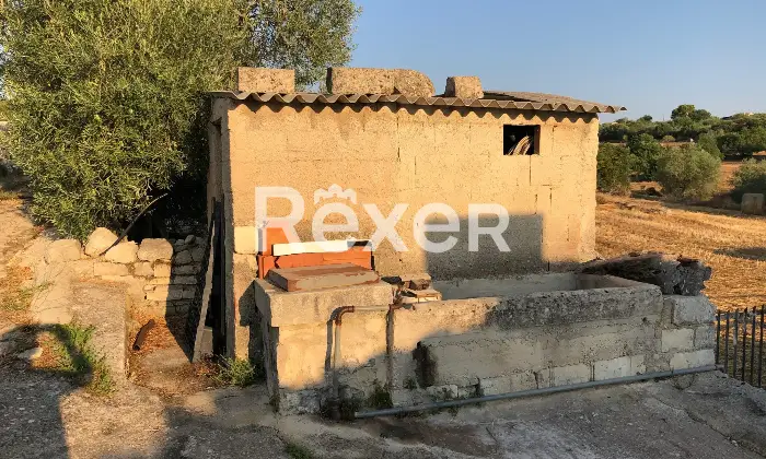 Rexer-Modica-Oasi-Siciliana-antica-dimora-con-uliveti-e-carrubbe-Terrazzo