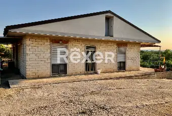 Rexer-Modica-Oasi-Siciliana-antica-dimora-con-uliveti-e-carrubbe-Giardino