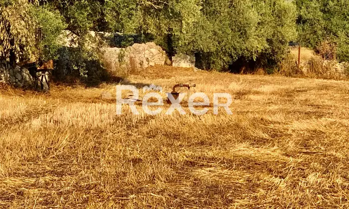 Rexer-Modica-Oasi-Siciliana-antica-dimora-con-uliveti-e-carrubbe-Terrazzo