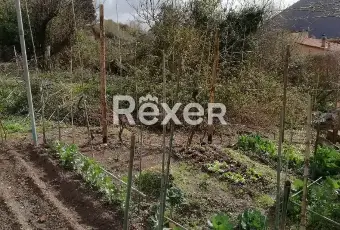 Rexer-Biassa-Nel-cuore-del-borgo-medievale-di-Biassa-La-Spezia-Altro