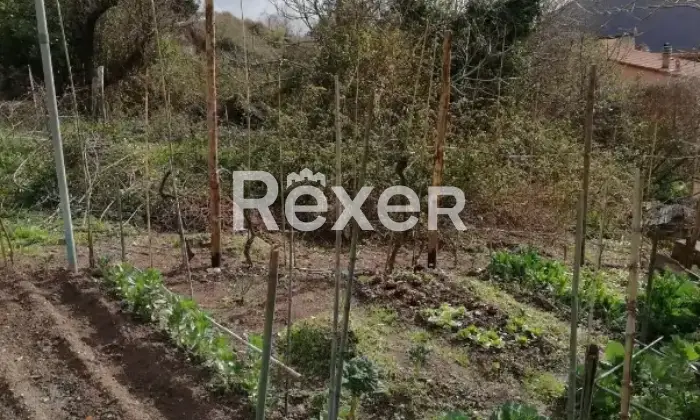 Rexer-Biassa-Nel-cuore-del-borgo-medievale-di-Biassa-La-Spezia-Altro