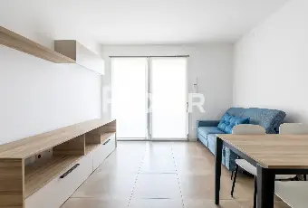 Rexer-Nova-Milanese-Nova-Milanese-Trilocale-di-nuova-costruzione-con-box-e-terrazzo-Altro