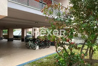 Rexer-Montesilvano-Appartamento-luminoso-in-vendita-Montesilvano-PE-Altro