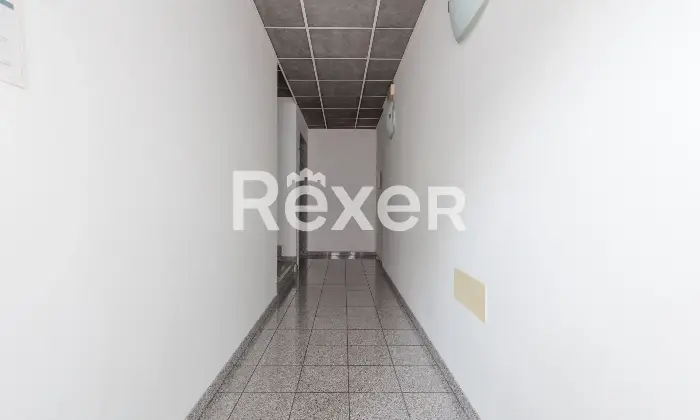 Rexer-Piove-di-Sacco-Ufficio-a-Piove-di-Sacco-Altro