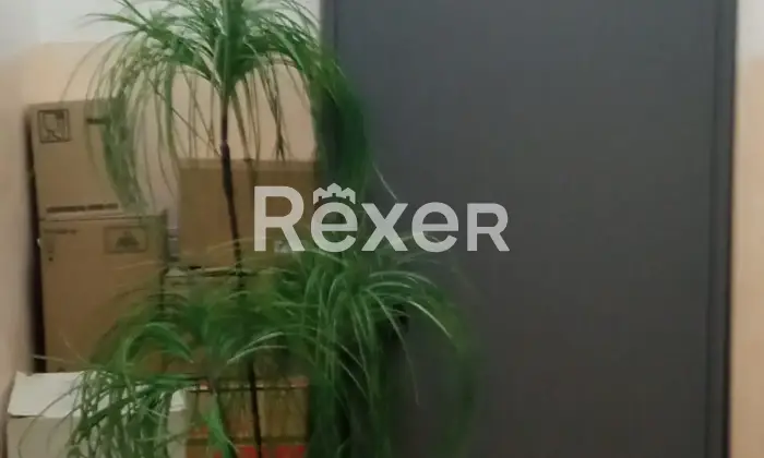 Rexer-Genzano-di-Lucania-Locale-commerciale-di-mq-ex-pizzeria-arredato-in-buono-stato-Altro