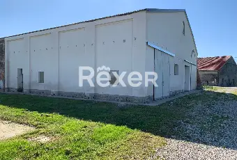 Rexer-Sermide-e-Felonica-Casa-indipendente-con-ampi-magazzini-e-mq-di-terreno-a-Sermide-e-Felonica-Altro