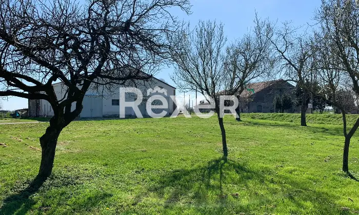 Rexer-Sermide-e-Felonica-Casa-indipendente-con-ampi-magazzini-e-mq-di-terreno-a-Sermide-e-Felonica-Altro