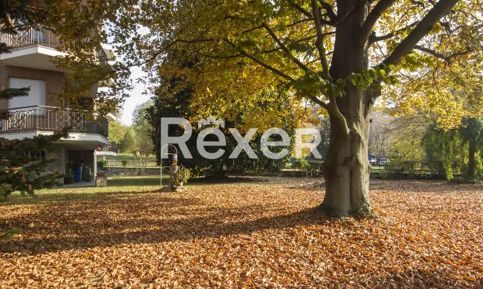 Rexer-Moncalieri-Ampio-quadrilocale-tripla-esposizione-in-stato-originale-con-box-auto-Altro