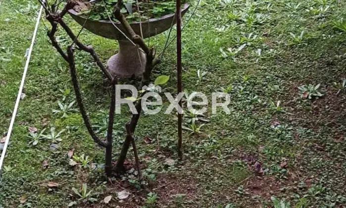 Rexer-Pietrasanta-Casa-singola-su-due-livelli-con-resede-esclusiva-porticato-e-box-auto-Altro