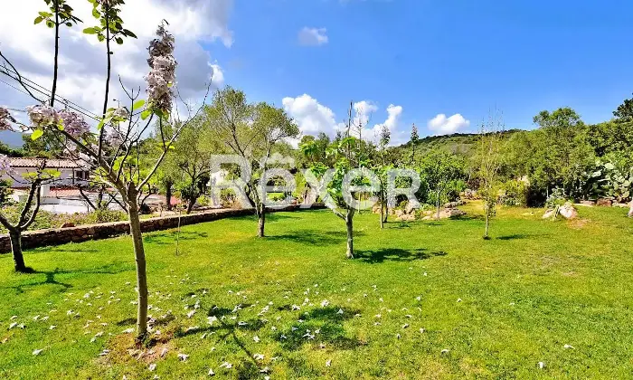 Rexer-Porto-Istana-Villa-in-vendita-a-Porto-Istana-Olbia-Via-Punzutu-Altro