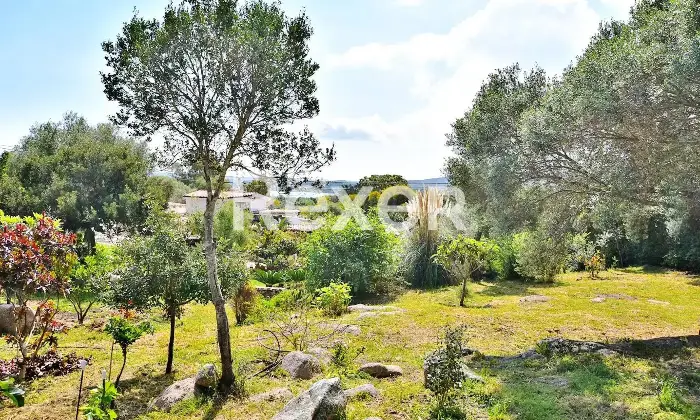 Rexer-Porto-Istana-Villa-in-vendita-a-Porto-Istana-Olbia-Via-Punzutu-Altro