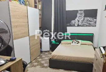 Rexer-Sermoneta-Appartamento-ristrutturato-a-Sermoneta-ai-piedi-del-Castello-Caetani-Altro