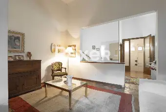 Rexer-Firenze-San-Jacopino-terratetto-con-giardino-Altro