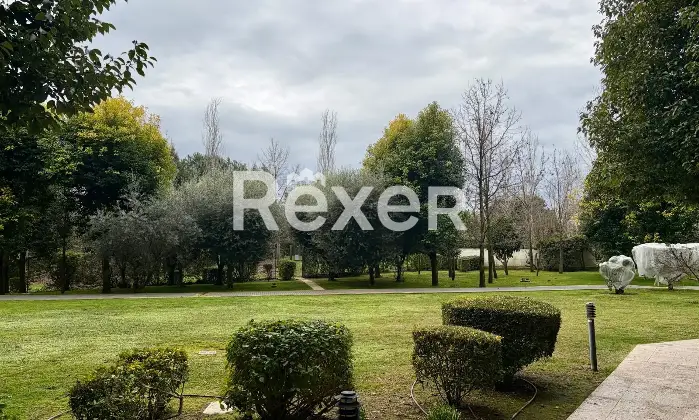 Rexer-Roma-Luminoso-terzo-piano-Altro