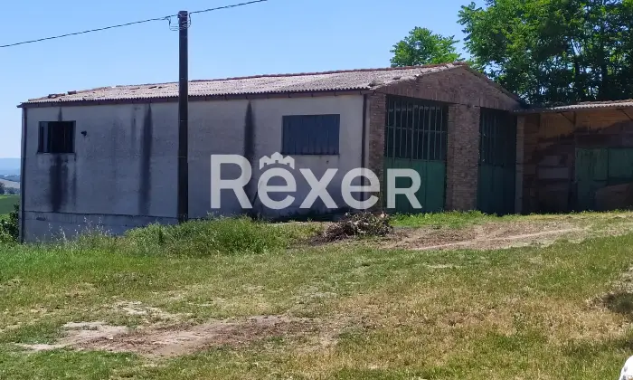 Rexer-Corinaldo-villetta-singola-da-realizzare-su-capannone-esistente-Giardino